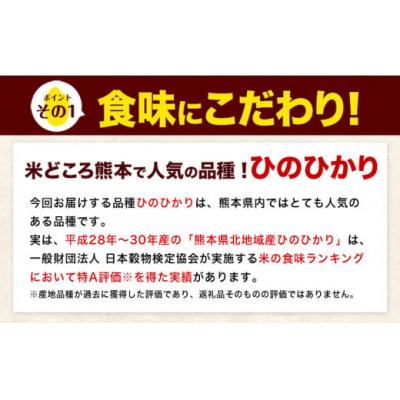ふるさと納税 氷川町 令和7年産 無洗米 【12ヶ月定期便】 ひのひかり 20kg(5kg×4袋)《お申込み翌月から出荷》