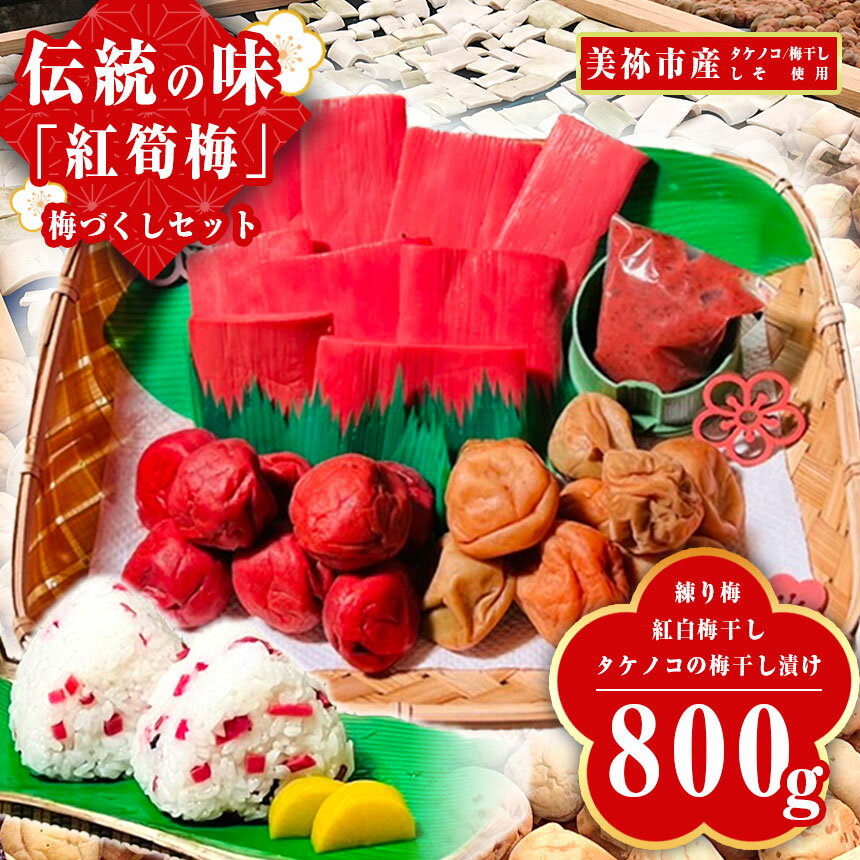 【ふるさと納税】紅筍梅 タケノコの梅干し漬け 紅白梅干しセット 800g｜ ウメ 梅 梅干し 無添加 詰め合わせ 山口 美祢 特産品 しそ 赤しそ 練梅 白梅 赤梅 ペースト たけのこ タケノコ 昔ながら 伝統 家庭 味