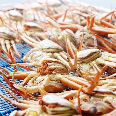 ふるさと納税 宮津市 新物　セコガニ　コッペがにほぐし身(中サイズ)　3個セット【甲羅盛り】 |  | 03