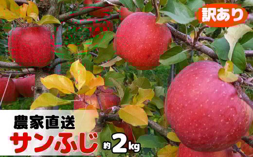 【訳あり】農園直送 サンふじ（花巻りんご）約2㎏【1460】