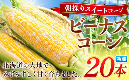 朝採り とうもろこし ビーナスコーン 20本 山下農場 北海道本別町