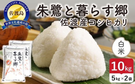 令和8年産 佐渡島産 朱鷺と暮らす郷 白米10kg 特別栽培米 | 新潟県産コシヒカリ 佐渡産コシヒカリ 朱鷺と暮らす郷 朱鷺認証米 特別栽培米 お米 米 白米 精米 おこめ コメ 10キロ にいがた さど 新潟県 佐渡市 195962-091402