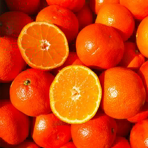 熊本県産みはや 約5キロ 果物 柑橘類