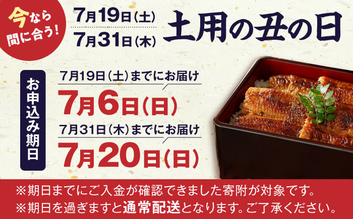 うなぎ 鰻 国産 福岡県産 蒲焼 かば焼き 土用 丑の日 ギフト 贈答