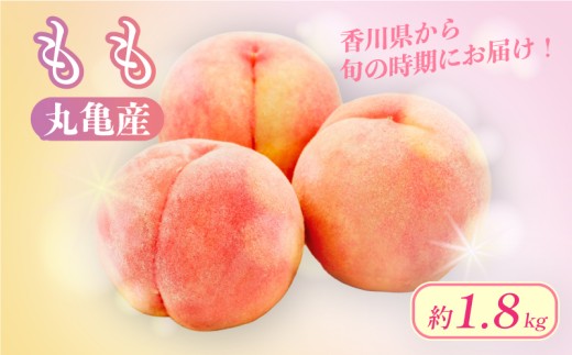【先行予約】 桃 約1.8kg 5-10玉入 1箱 贈答 フルーツ 果物 果実 モモ プレゼント ギフト スイーツ デザート ケーキ ジュース ゼリー アイス シャーベット ジャム ふるさと納税桃 ふるさと納税モモ お取り寄せ 送料無料 ふるさと納税 ふるさと納税フルーツ 香川県 丸亀市
