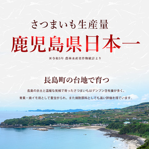 井手青果の産直・熟成「紅はるか」冷凍焼き芋　約1.2ｋｇ_ide-622