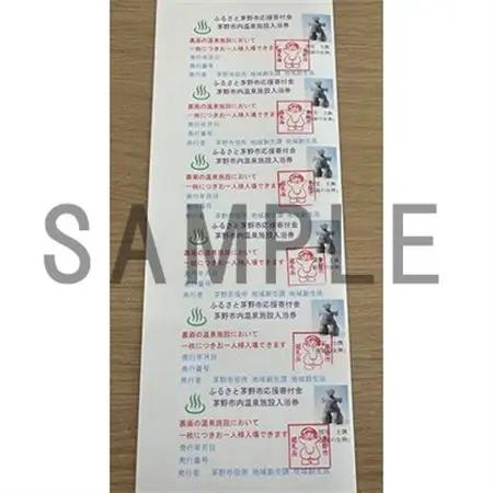 市内公共温泉施設利用券　6枚　温泉　信州　蓼科_旅行券・チケット  温泉利用券 _【1414108】