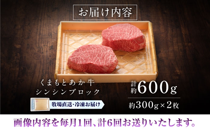 菊陽町 あかうし 熊本県 肉 にく niku ブランド 旨み くまもとあか牛 和牛 阿蘇 自然 自社牧場 直接 最高 定期便