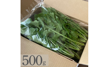 オーガニック ルッコラ 500g オーガニック ルッコラ