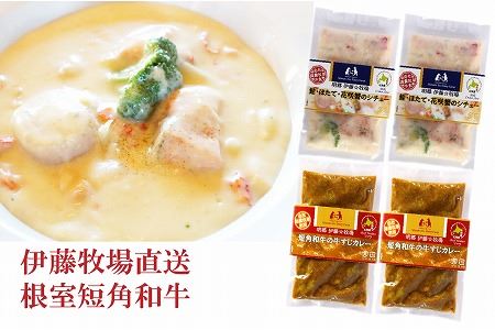 鮭・ほたて・花咲蟹シチュー2P、牛すじカレー2Pセット A-13008