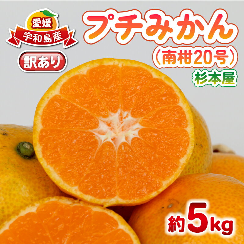 【ふるさと納税】 訳あり プチ みかん 南柑20号 5kg 杉本屋 わけあり 訳あり品 訳アリ 小玉みかん 小みかん 愛媛みかん 愛媛蜜柑 愛媛ミカン 温州 早生温州 温州みかん 果物 くだもの フルーツ 柑橘 蜜柑 mikan 産地直送 数量限定 国産 愛媛 宇和島 B010-143014