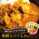 【ふるさと納税】発酵スパイスカレー10個★5種のスパイスと白山麓のW発酵 芳醇な香り&クセになる旨辛 グルテンフリー【配送不可地域：離島】【1376659】