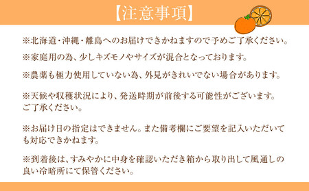 家庭用 森本農園の手選別 八朔 約10kg 和歌山県産 サイズ混合 ［北海道・沖縄・離島配送不可］［2026年1月中旬から2月中旬頃順次発送予定］［RN117］