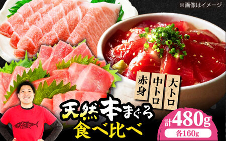 たね熟天然本まぐろ赤身＆中トロ＆大トロセット(各160g 計480g)[AOCE012]まぐろ