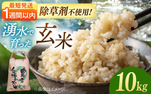 【最短7営業日以内に発送】 玄米 10kg 令和7年産 弥山岳の岩清水で育ったノガミファームのお米 ▼ 米 コメ 玄米 福岡県産 九州 米 お米 ご飯 スピード 最短 7日 スピード発送 おすすめ 贈り物 贈答 贈答品 プレゼント 福岡 桂川町/NOGAMI FARM [ADAU010]