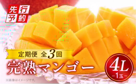 【期間限定】【定期便】完熟マンゴー4L1玉定期便　全3回_M153-T033