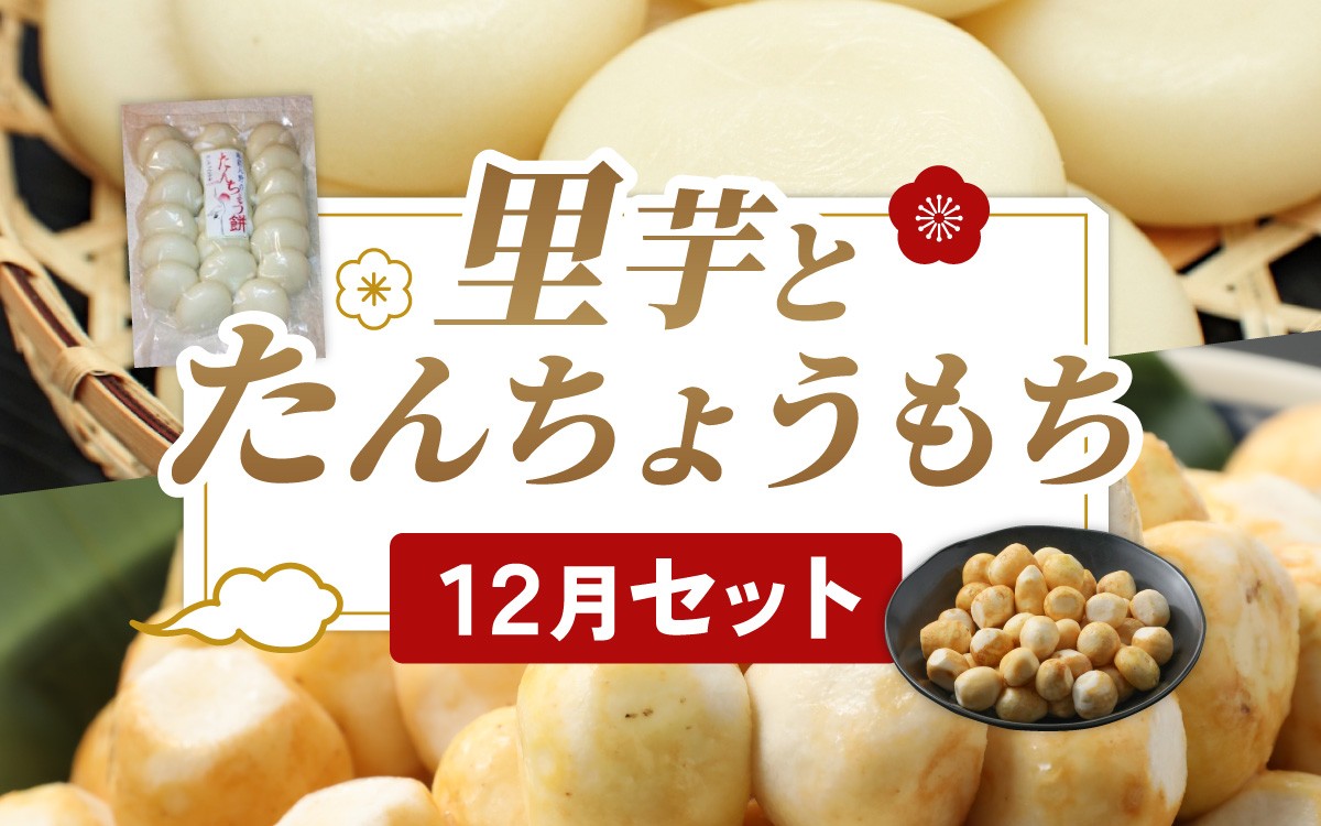 
                  【先行予約】【先行予約】上庄の里芋[洗い子]とたんちょうもち【12月セット】上庄 里芋 野菜 根菜 九頭竜 餅 丸もち 
                