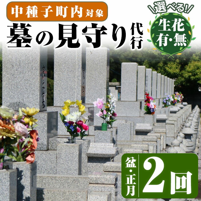 【ふるさと納税】＜生花有り・無しが選べる！＞お墓の見守りサービス(2回、盆・正月) サービス 清掃 除草 管理 墓地【中種子町シルバー人材センター】