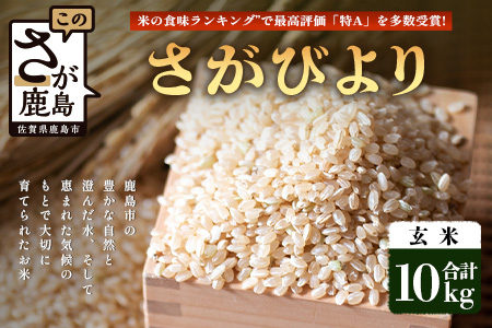【鹿島市産】＼生産者直送／ さがびより 玄米10kg　さがびより 佐賀県産さがびより 佐賀県鹿島市 お米 米 精米 玄米 ふるさと納税 お米 ご家庭用米 主食ギフト 美味しいお米 お取り寄せ 贈答用米