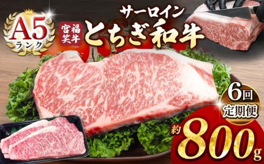 【定期便6回】宮福笑牛(とちぎ和牛) A5 サーロインステーキ 約200gx4枚  | 牛肉 和牛 ステーキ  定期便 サーロイン ステーキ ステーキ用 旨味 美味しい 肉 お肉  栃木県共通返礼品 栃木県 真岡市 