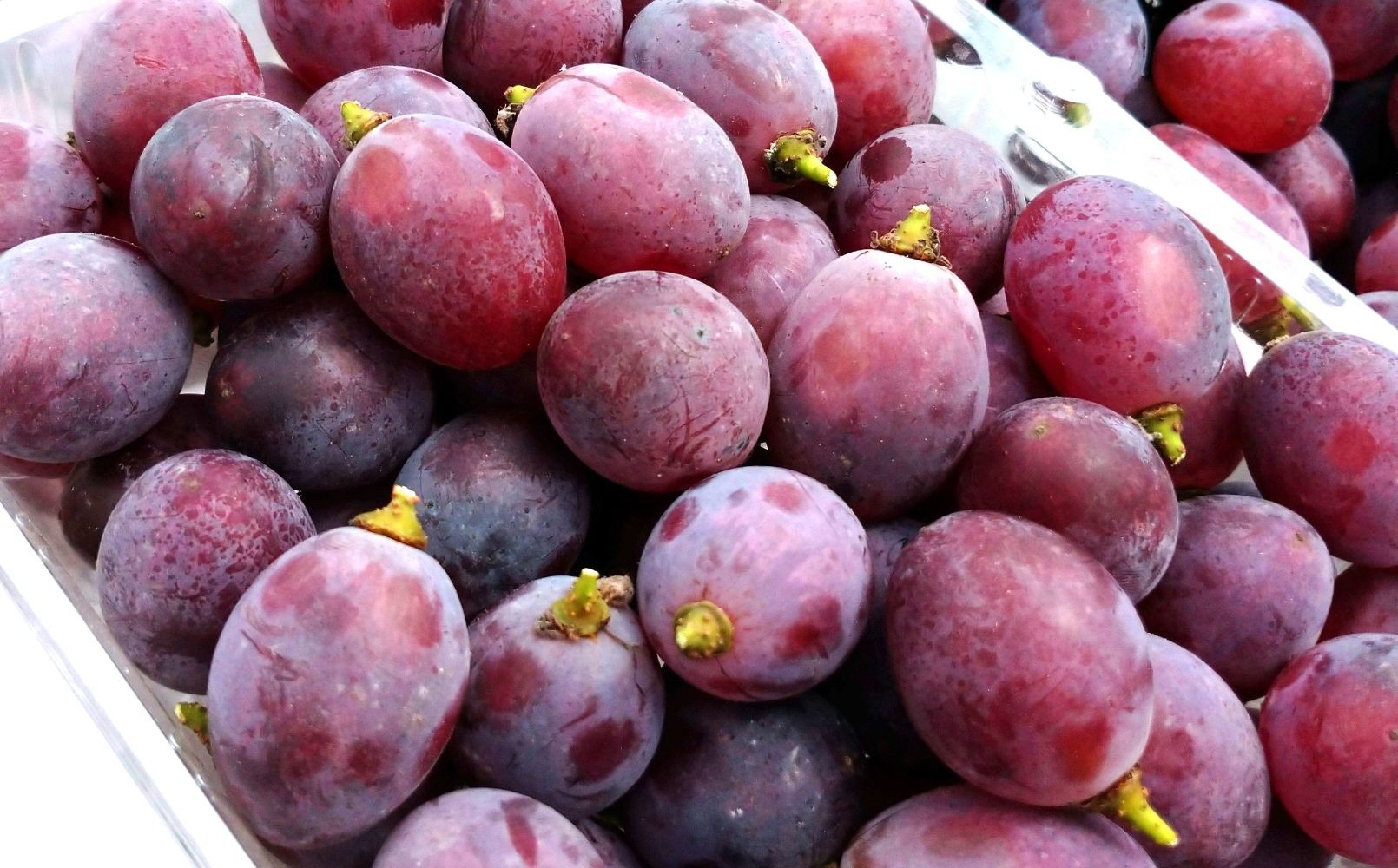 
                  ぶどう（サニールージュ・粒のみ）２パックで７５０ｇ　0142-2604
                