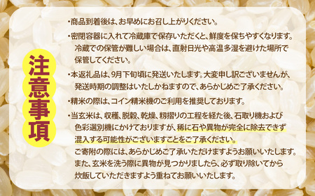 【先行予約】【令和7年産・新米】コシヒカリ 玄米 20kg / 米 こしひかり コシヒカリ 福井県 新米 一等米 玄米 あわら市 福井県 ※2025年9月下旬より順次発送予定 [aw096-d001]