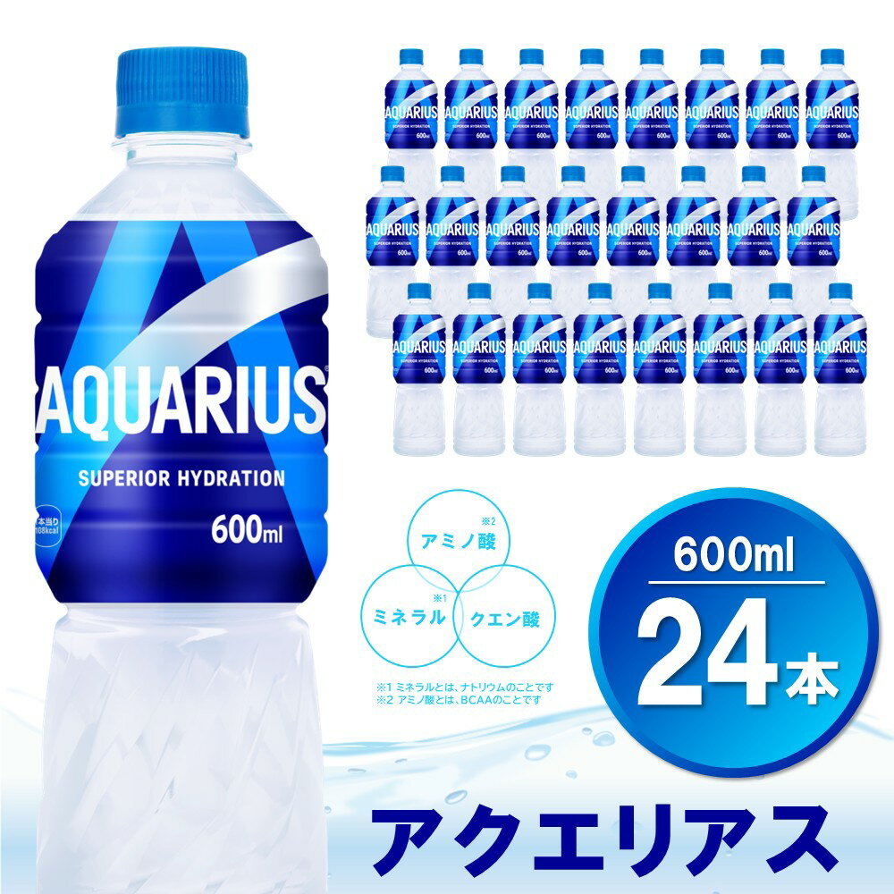 【ふるさと納税】アクエリアス 600mlPET×24本(1ケース) │ コカコーラ 熱中症対策 スポーツ飲料 スポーツドリンク 水分補給 カロリーオフ ペットボトル 健康 スッキリ ミネラル アミノ酸 クエン酸 リフレッシュ 常備 保存 買い置き まとめ買い K090164