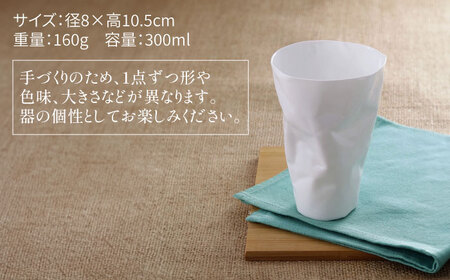 【有田焼】うすきわめ 薄極グラス 10客 /やきもの工房 成[UDU039]