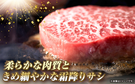 【全6回定期便】長崎和牛 サーロイン ステーキ 350g 《壱岐市》【KRAZY MEAT】 A5 A4 冷凍 和牛 肉 牛肉 BBQ[JER118]