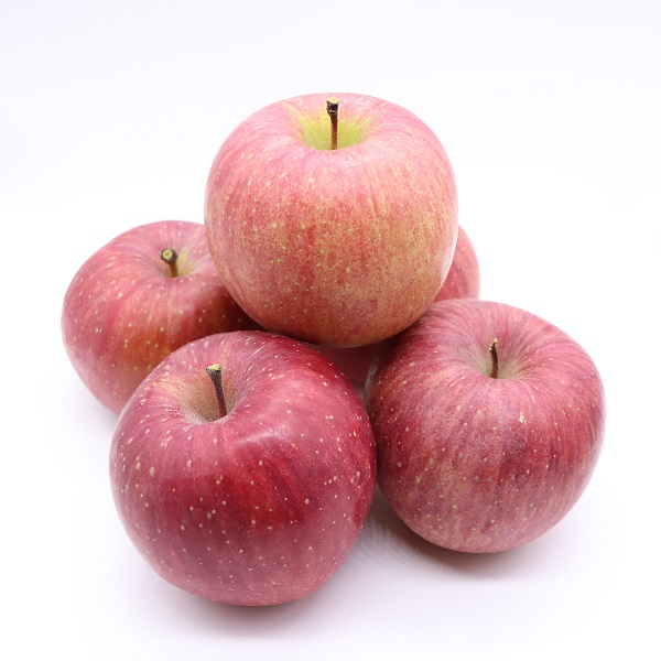 食の都庄内　《12月・1月・2月お届け》旬のフルーツ3ヶ月定期便 12月:りんご、1月:洋梨、2月:いちご