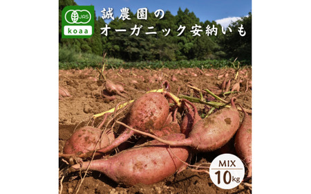  種子島 産 オーガニック (有機) 種子島安納いも (誠農園)  10kg　NFN538 【850pt】