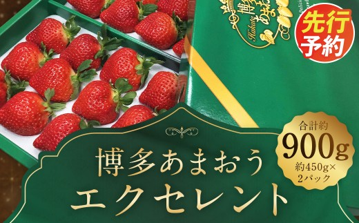 【期間限定】博多 あまおう いちご エクセレント 約450g×2パック 合計約900g【2027年1月下旬～2月下旬順次発送予定】