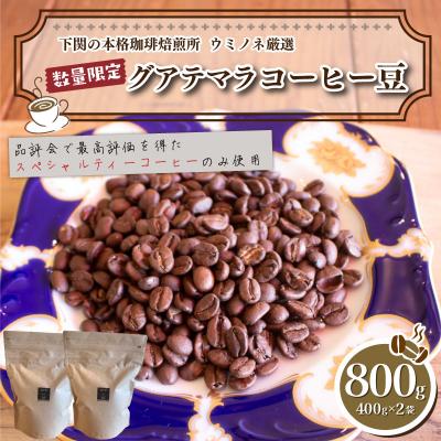 ふるさと納税 下関市 【中煎り】 訳あり コーヒー豆 800g ( 400g × 2袋 ) グアテマラ EW147-B-x