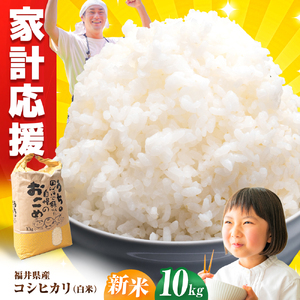 【 先行予約 /10月以降配送】 【令和7年産】福井県産 こしひかり 白米10kg / 小浜市 / Grow Farm [BFDI002] 