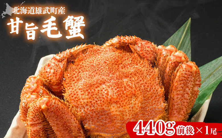 【北海道雄武町産】やわらか殻の甘旨毛蟹 440g前後×1尾 | 毛ガニ カニ かに 蟹 殻付き 浜茹で ジューシー 海産物 海鮮 冷凍 鮮度直送 柔らかい 食べやすい 蟹料理 ギフト おすすめ 贈答用 鮮魚 食材 海の幸 お取り寄せ 北海道 雄武町 雄武【21026AA0101】