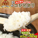 【ふるさと納税】【令和7年度産・先行受付】 令和7年産 コシヒカリ 5～10kg 選べる 精米度合い 内容量 精米 新米 東白川村産 岐阜県 白米 五分付き 五分つき米 五分精米 玄米 お米 こめ 精米 ご飯 米 おにぎり 食物繊維 低GI 返礼品 ふるさと納税 9000円 16000円