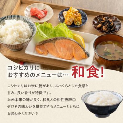 ふるさと納税 米沢市 【 6ヶ月定期便 / 令和7年産 】 コシヒカリ 計10kg/月 ( 1回配送 5kg×2袋 ) |  | 02