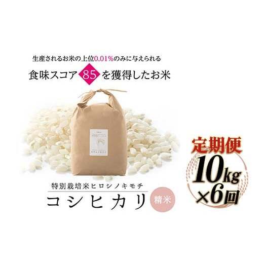【6回定期】特別栽培米 コシヒカリ ヒロシノキモチ 精米 10kg 総計60kg ブランド米 銘柄米 国産 米 お米 日本米 ギフト 贈り物 備蓄 防災 食品 陽咲玲 はるざれ F6T-994
