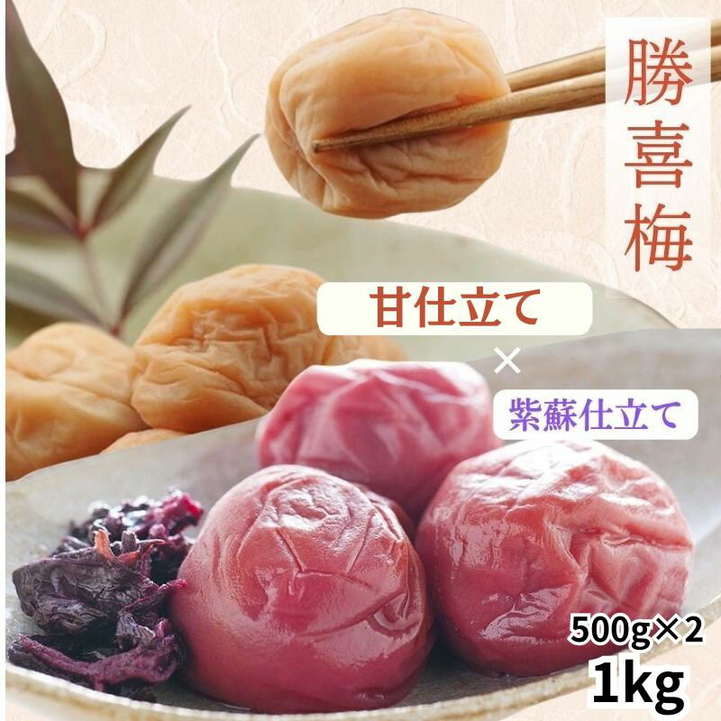 【ふるさと納税】勝僖梅 紀州南高梅 2種セット 500g×2｜甘仕立て・紫蘇仕立て 梅干し うめ 国産 和歌山みなべ町 ギフト 母の日 贈答品