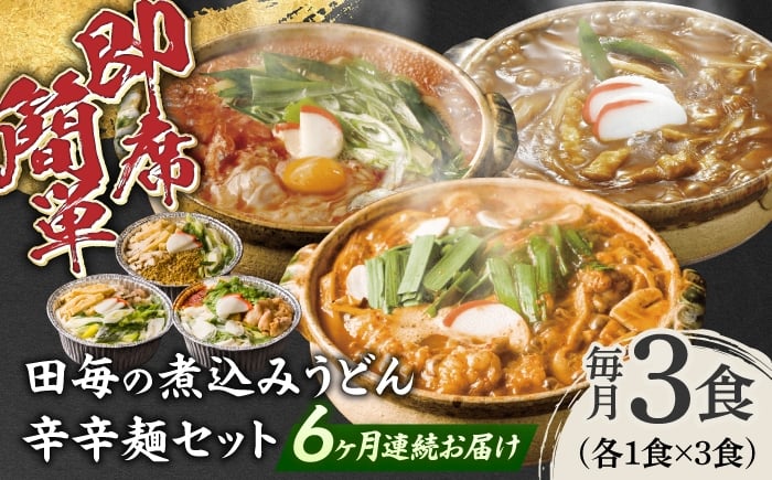 
             【6回定期便】うどん 岐阜の味 田毎の煮込みうどん辛辛麺セット 即席 カンタン 麺 カレーうどん ピリ辛味噌煮込みうどん ピリ辛スタミナ牛もつ煮込みうどん 激辛 旨辛 冷凍 半年 定期便 3種類 詰め合わせ 食べ比べ 簡単調理 時短 鍋不要 水不要 老舗の味 名店 グルメ お取り寄せ サブスク ギフト プレゼント おすすめ 人気 岐阜市 / ラボレムス [ANFP013]
          