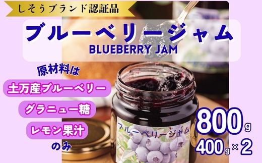 
                  BW1　果実たっぷり ブルーベリージャム 800g（400g×2本） 【ブルーベリー ジャム 土万 ひじま 無農薬 安心安全 健康 パン ヨーグルト トッピング お菓子 スィーツ 】
                