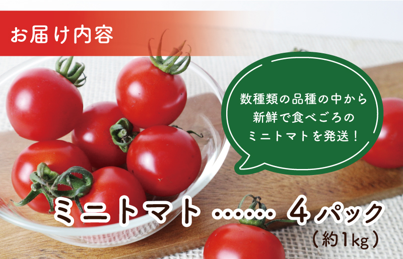こだわり ミニトマト 4パック 合計 約1kg【選手権 金賞受賞 日本野菜ソムリエ協会 新鮮 野菜 泉佐野産 とまと やさい 高評価 数量限定】 099H2506