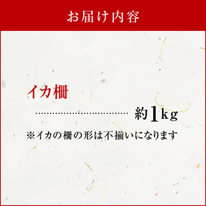 沖永良部島 イカ の 王様 ！ ソデイカ 1kg C010-023 魚介 海鮮 寿司 真空パック 鍋 沖永良部島漁業協同組合 ふるさと納税 知名町 おすすめ ランキング プレゼント ギフト