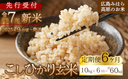 【先行受付】■6か月定期便■ 令和7年新米 コシヒカリ 玄米10kg 2025年9月頃～発送 お米 米 ごはん ご飯 広島県 三原市 220012