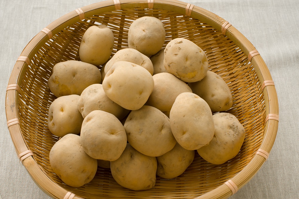 【令和7年産先行受付】北海道とままえ産じゃがいも（男爵）　10kg