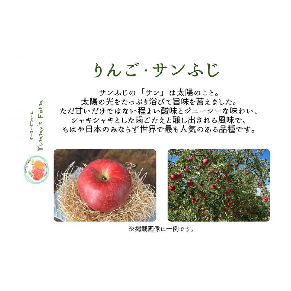 生産農家直送 人にやさしい 長沼りんご・サンふじ10kg（訳ありご家庭用） | りんご フルーツ