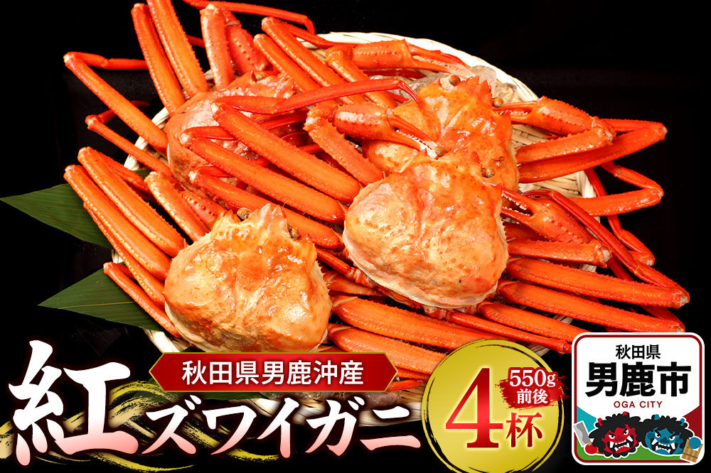 男鹿沖産紅ズワイガニ 550g 前後×4杯 男鹿なび 蟹 カニ 国産 秋田 ずわい蟹 ずわいガニ [新鮮 冷蔵便]|23_ogn-150401