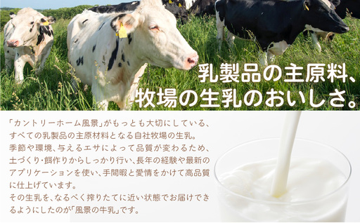【定期12ヶ月】風景の牛乳 500ml ×8 SKB082
