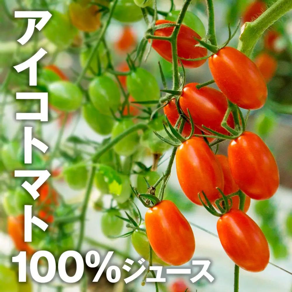 トマトジュース 1000ml×2本 食塩無添加 トマトジュース BQAG029