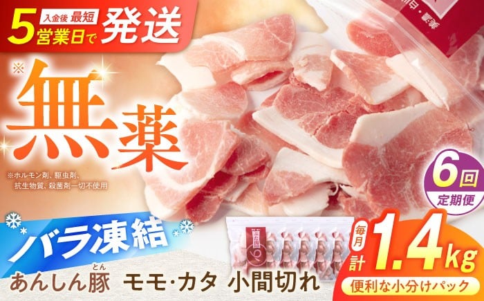 
                  【6回定期便】《バラ凍結》 モモ・カタ 小間切れ 1.4kg （280g×5袋） 豚肉 小分け 薄切り 豚こま 国産 国産豚肉 無薬 無薬育ち 薬不使用 大容量 切り落とし 豚コマ 豚小間 冷凍 ストック 炒め物 カレー 大容量 無薬育ち 切り落とし 豚切り落とし 豚こまぎれ 豚こま切れ ぶたこま モモ肉 カタ肉 お肉 国産豚 6万9千円 69000円 白川町 / 藤井ファーム [AWAF031]
                